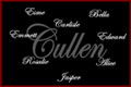 Thumbnail for version as of 00:02, February 14, 2011