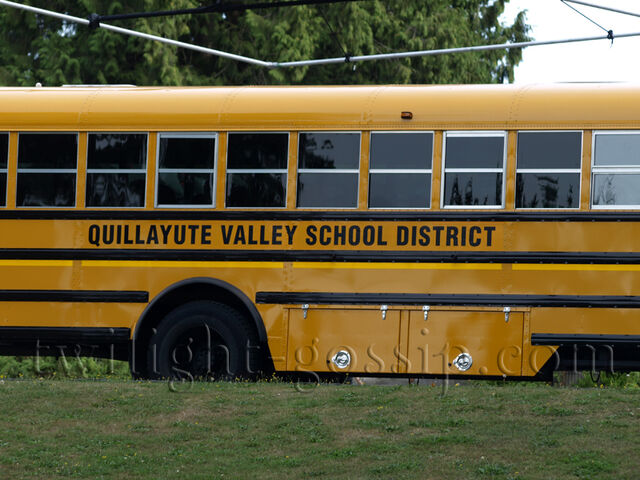 File:School Bus.jpg