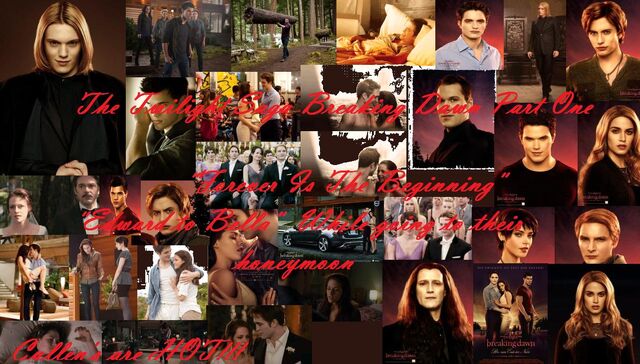 File:Breaking Dawn Part One'.jpg