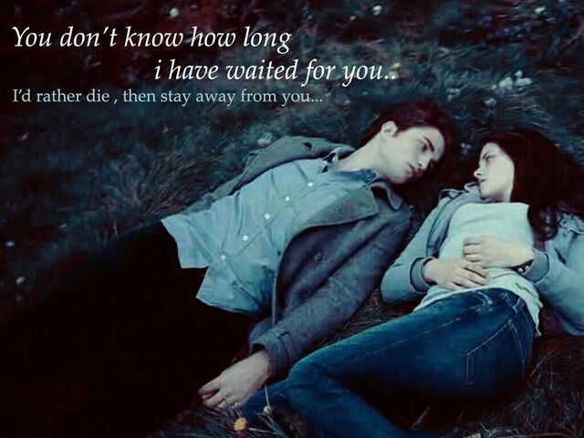 File:Twilight-quotes-cullen-family-and-jake-34848644-1024-768.jpg