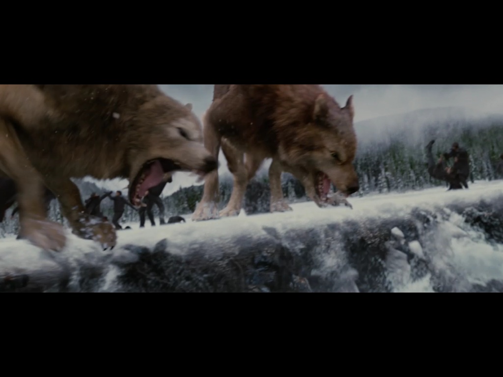 wolfpack twilight in their wolf forms wolfpack twilight in their wolf forms