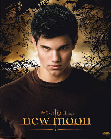 File:Jacob-new-moon-poster.jpg