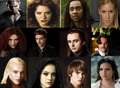 Thumbnail for version as of 05:41, November 28, 2010