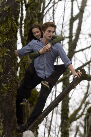 File:Twilight-462-large.jpg
