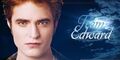 Thumbnail for version as of 00:30, September 13, 2011