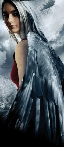 File:Maximum Ride.jpg
