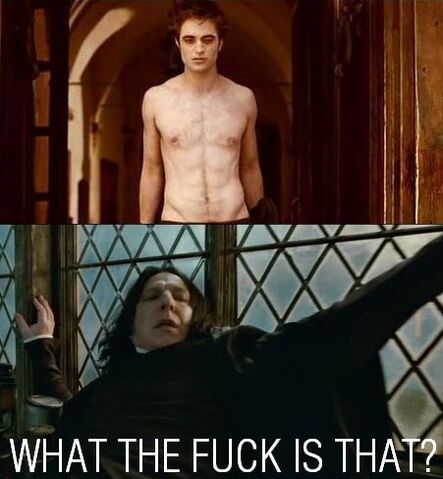 File:Harry-Potter-Funny-harry-potter-vs-twilight-20680554-451-488.jpg