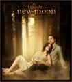 Thumbnail for version as of 00:33, January 15, 2011