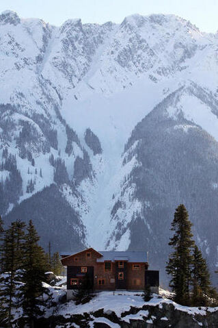 File:House-of-The-Denali-Coven-twilight-series-20369740-353-530.jpg