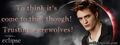 Thumbnail for version as of 01:02, January 15, 2011
