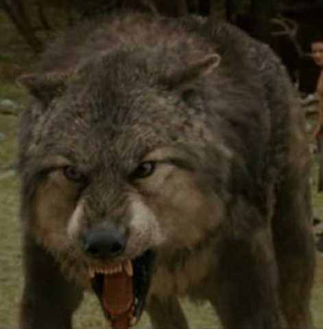 File:Paul in w.png