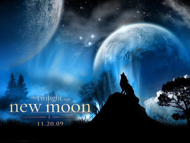 File:The-twilight-saga-new-moon-twilight-series-4882955-1024-768.jpg