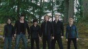 The Cullen family