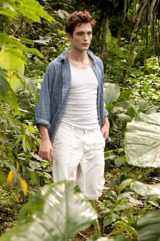 File:Edward on Isle Esme.jpg