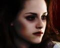 Thumbnail for version as of 13:41, March 3, 2011