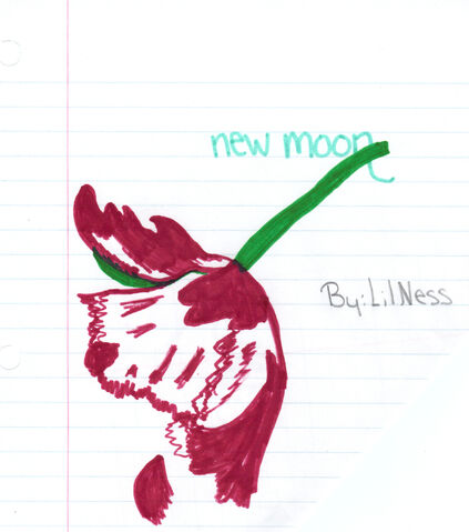 File:Newmoonmyown.jpg