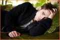 Thumbnail for version as of 05:04, January 15, 2011