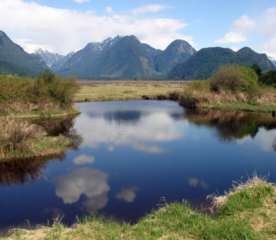 File:Widgeonslough.jpg