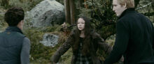 Eclipse-bree-esme-carlisle.jpg