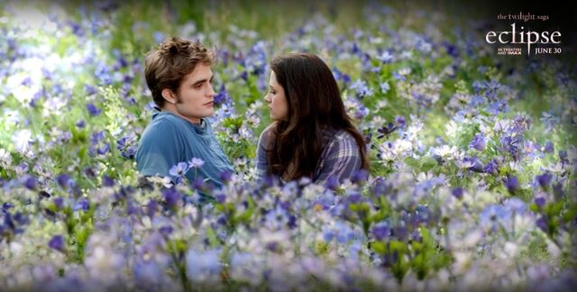 File:Eclipse-Movie-Stills-eclipse-movie-13228227-901-456.jpg
