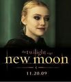Thumbnail for version as of 06:47, November 8, 2010