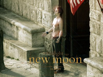 File:Edward-New Moon-sparkle.jpg