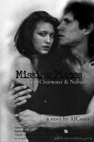 File:Missing Pieces Banner Movie.png