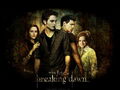 Thumbnail for version as of 13:20, September 23, 2010