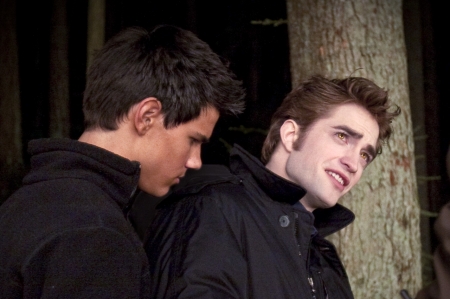 File:Normal 044y.jpg