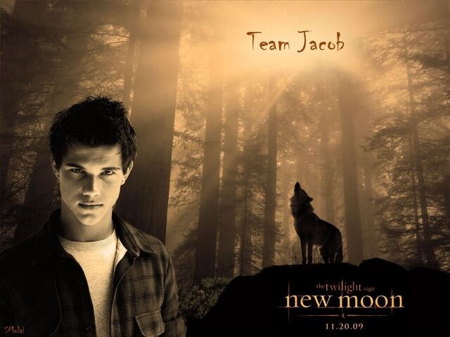 File:Jacob-black-taylor-lautner-7115479-1024-768.jpg