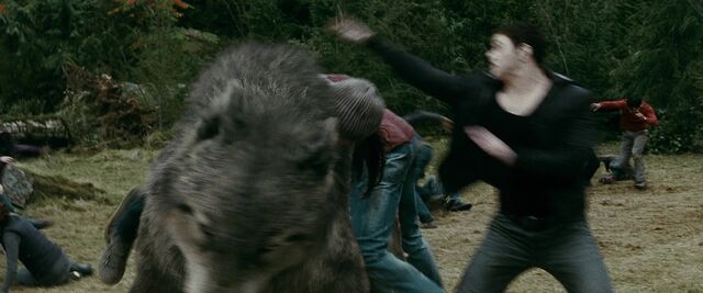 File:Emmett-saves-paul.jpg