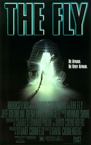 File:Fly.jpg