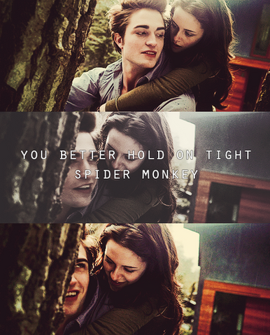 Datei:The-most-beautiful-creature-3-edward-and-bella-33526876-403-500.png