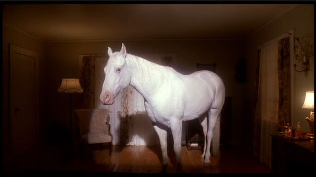 File:Whitehorse.jpg