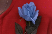 BlueRose