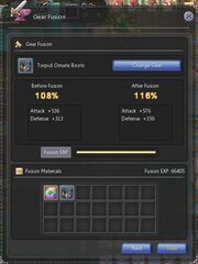 Beginners-Gear Fusion