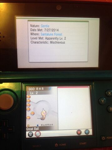 File:WEEDLE4.jpg