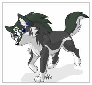 File:Youn Shadow Link 1.jpg