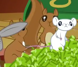 File:SQUIRREL.png