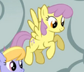 Thumbnail for version as of 21:41, March 26, 2012
