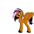 Thumbnail for version as of 21:48, November 22, 2011