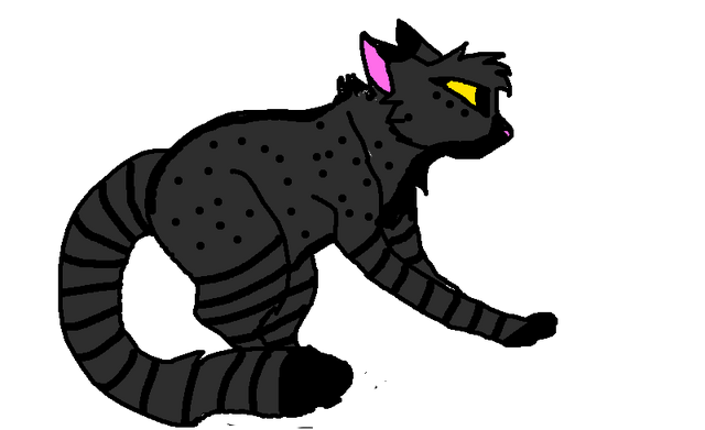 Файл:Пестрая Ночь.png