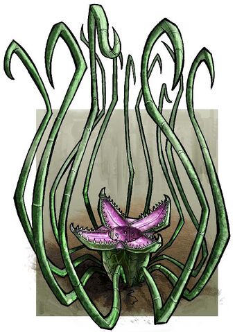 File:Corpsersketch.jpg