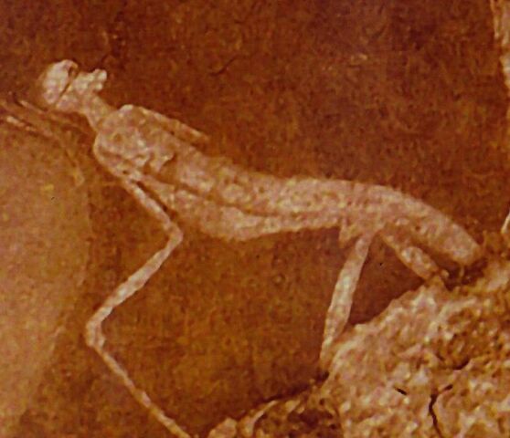 File:AAEAAQAAAAAAAAKTAAAAJDg1ZTMwNzQ2LTQwNzYtNDE0ZS05ZWFjLTM1NjU2YjVkMmZlMg.jpg