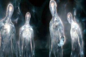 Transparent beings