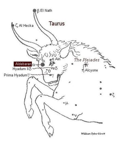 File:Taurus-William Tyler Olcott.jpg