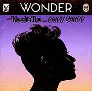 Naughty Boy - Wonder.jpeg