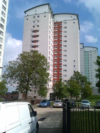 IMAG0042-1-