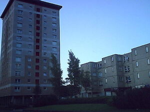 IMAG0003