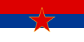 MNEflag3